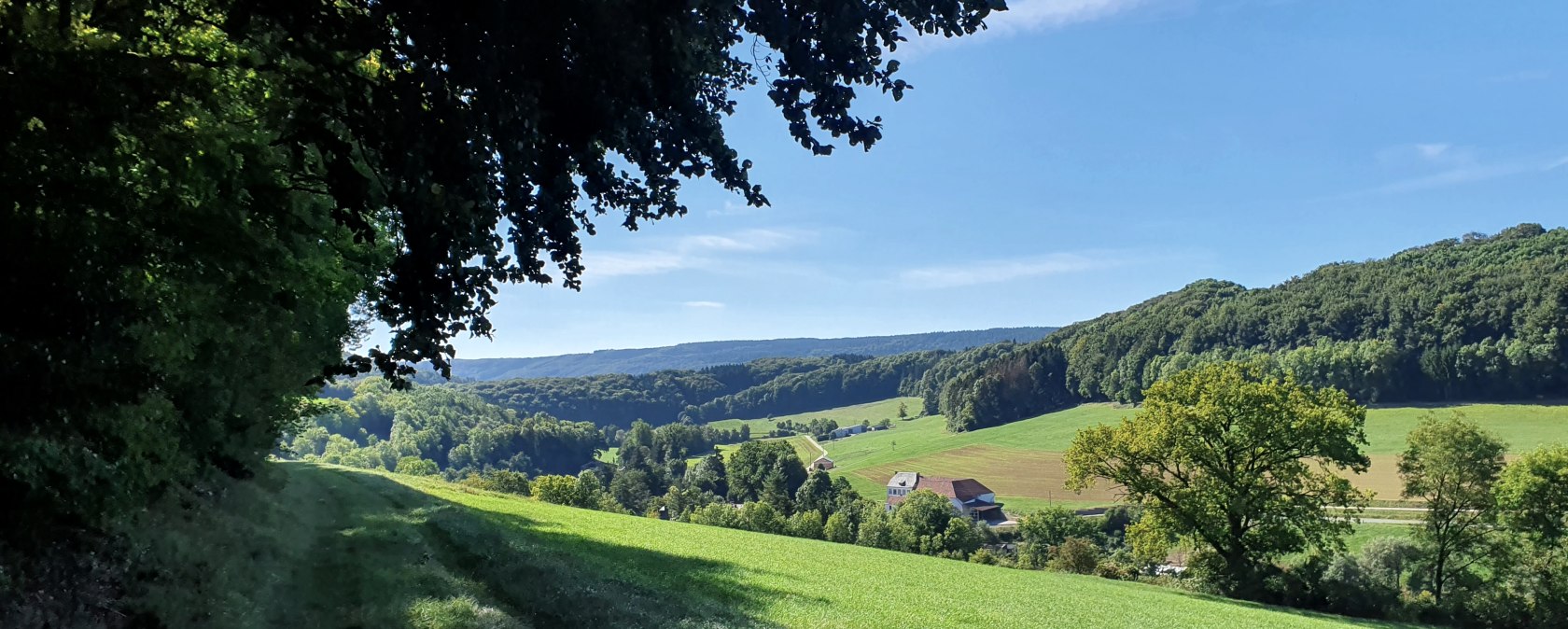 Panoramablick über das Enztal, © TI BItburger Land - Steffi Wagner