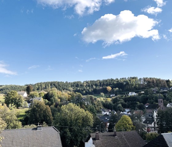 View from the kitchen