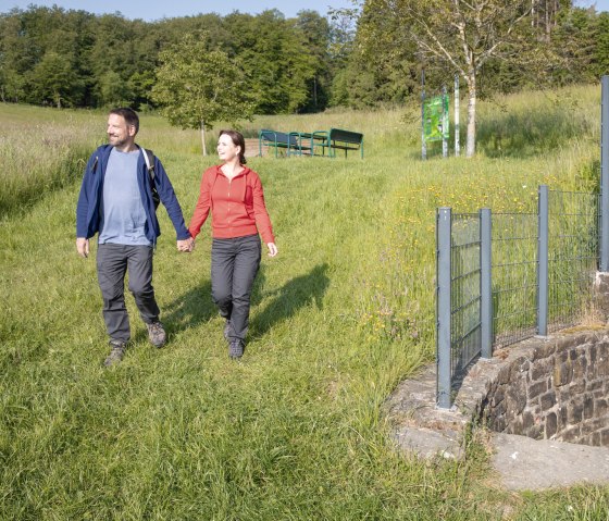 Start der Wanderung auf dem Lieserpfad ist die Quelle der Lieser, © Eifel Tourismus GmbH, AR-shapefruit AG