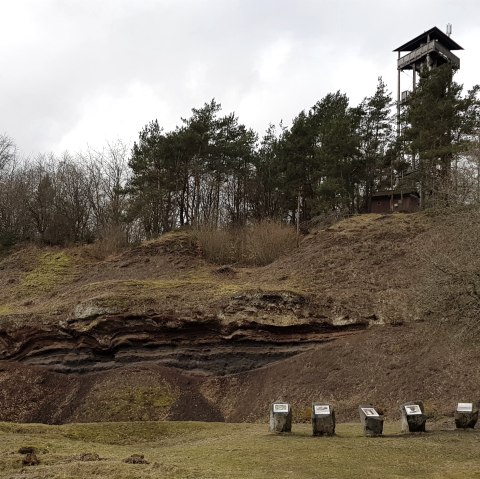 Kraterwand mit Blick auf den Booser Eifelturm, © Svenja Schulze-Entrup