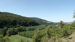 Blick über die Hopfenfelder im Prümtal, © Felsenland Südeifel Tourismus GmbH