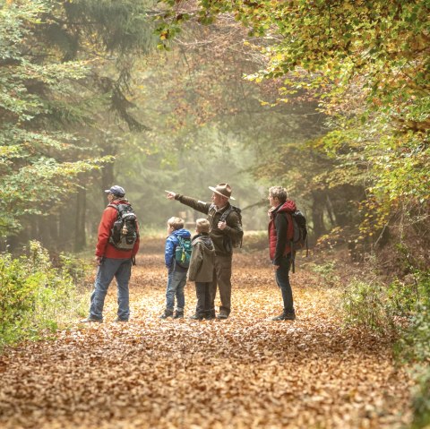 Tour mit dem Ranger durch den Nationalpark Eifel, © Nationalpark Eifel, D. Ketz