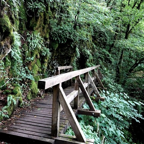 Wandern rund um Manderscheid, © GesundLand Vulkaneifel GmbH