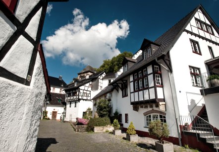 Historischer Ortskern Blankenheim mit Ahrquelle, © Eifel Tourismus GmbH, Dominik Ketz