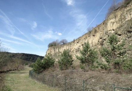 Blick auf die Steilwand der Ahl, © Foto: Svenja Schulze-Entrup, Quelle: Touristik-Büro Vordereifel