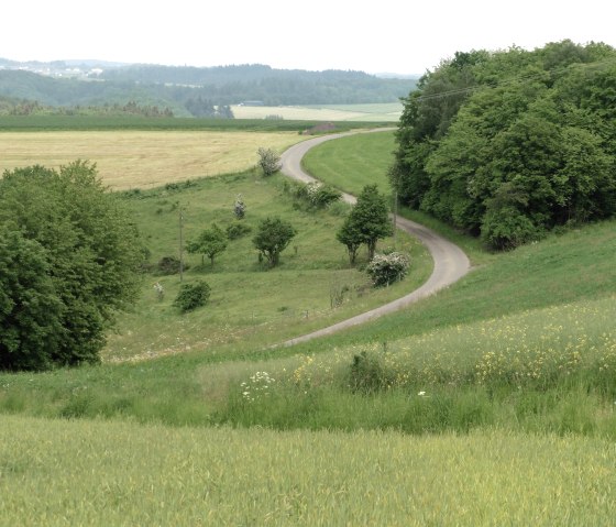 Zufahrtsstraße ins Dorf