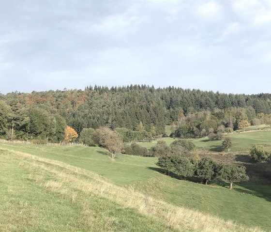 Vulkaneifel .Pfade hinter dem Haus