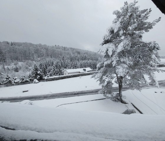 Winterlandschaft am Haus (2) - Kopie