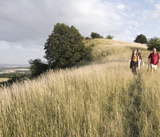 Vulkanpfad - Wandern auf dem Bellberg, © Traumpfade