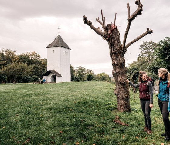 Blick auf Swister Turm, EifelSpur zwischen Ville und Eifel, © Paul Meixner