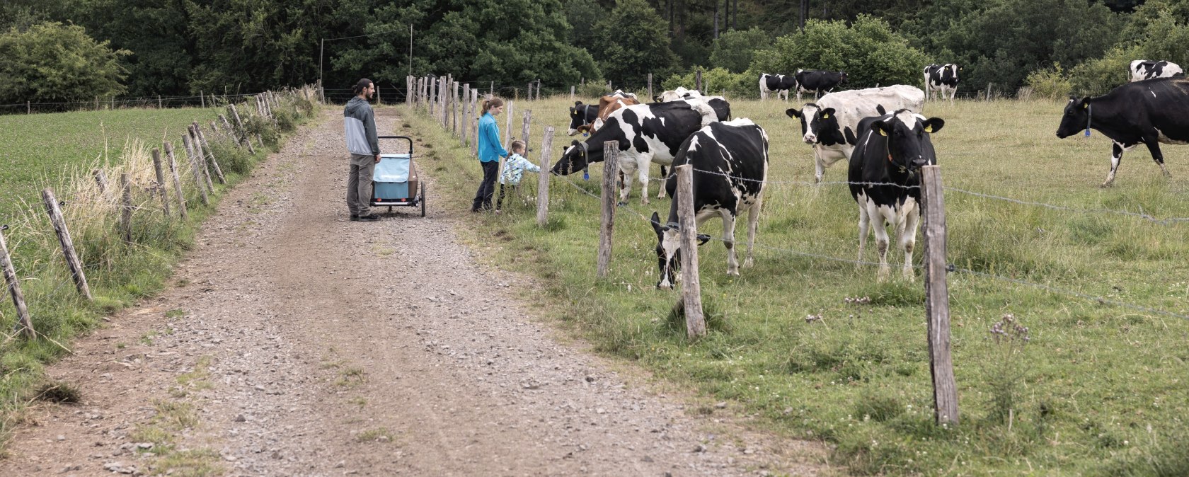 Milchweg Kall, © Eifel Tourismus GmbH, Tobias Vollmer - finanziert durch REACT-EU