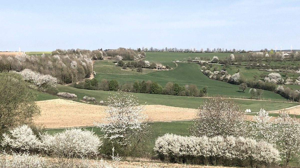 Blick in Richtung Fließem, © Tourist-Information Bitburger Land_Uschi Hallet