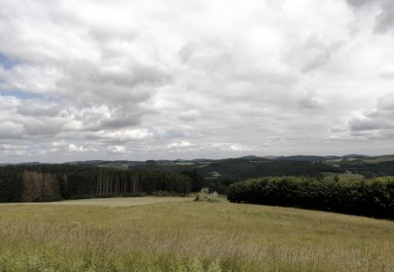 Fernsicht Winnerather Höhe1, © Tourist-Information Hocheifel-Nürburgring, DannySchmitz