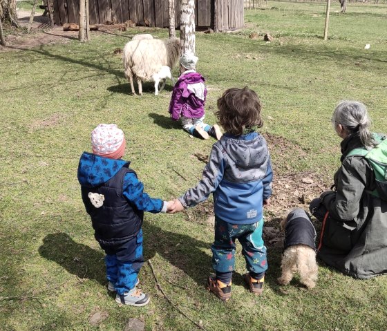 Wildfreigehege Hellenthal, Besuch mit Familie, © Lena Poth