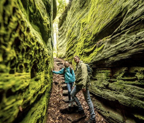 Felsen in der Grünen Hölle, Audiotour Grüne Hölle, © Eifel Tourismus GmbH, Dominik Ketz