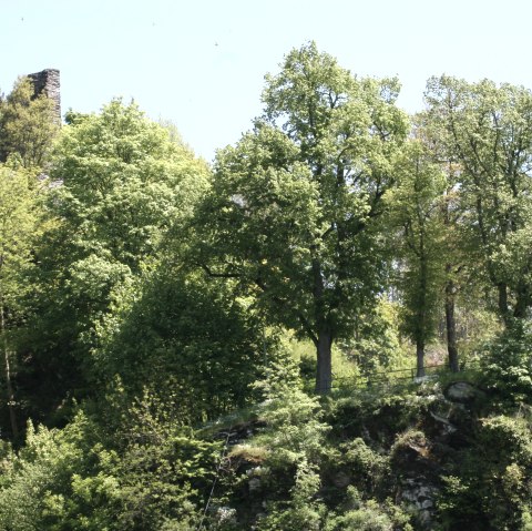 Blick auf den Haller, © Monschau-Touristik