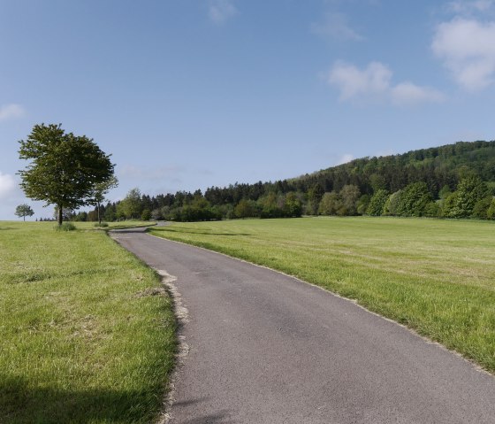 Asphaltierter Wegabschnitt – HeimatSpur Ernstberg- Panoramaweg, © Gesundland Vulkaneifel GmbH