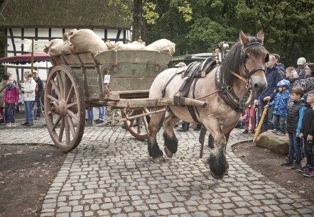 Ross Foto LVR, © LVR-Freilichtmuseum