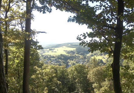 Panoramablick auf Adenau, © TI_Hocheifel-Nuerburgring, Rita Kaiser