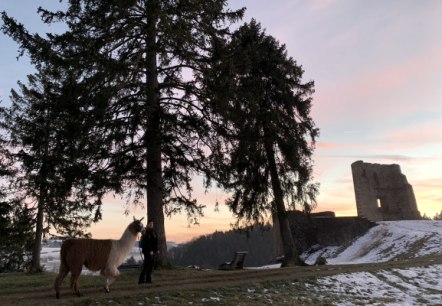 Glühweinwanderung zur Burgruine Schönecken