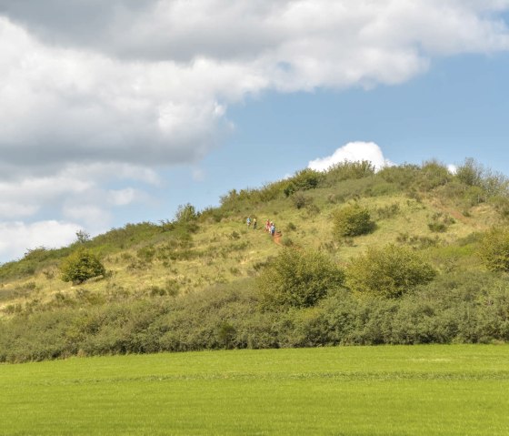 Wandergruppe auf dem Rother Kopf, © Thomas Hendele