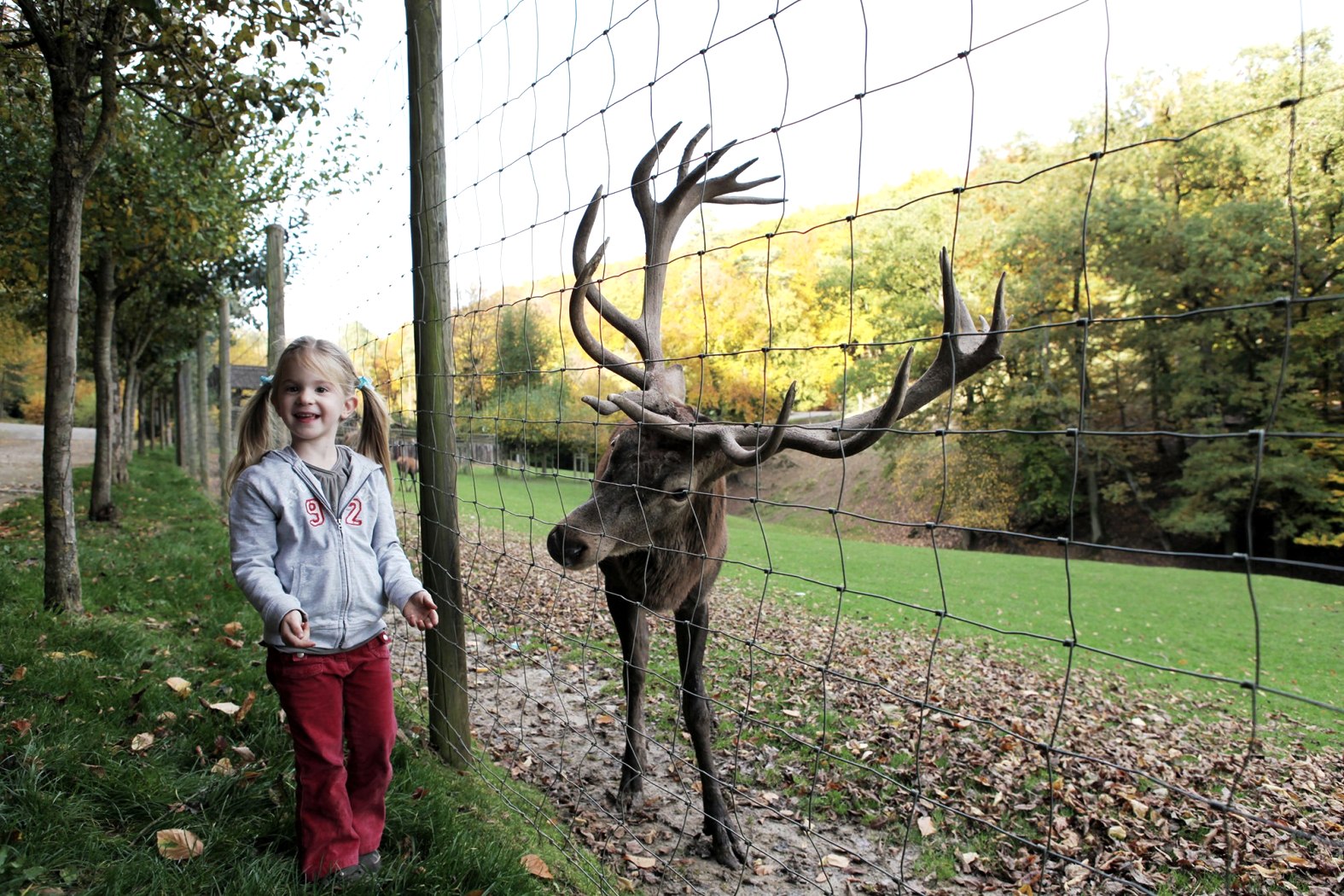 Freizeit- und Tierparks in der Eifel wie der Eifelpark sind schöne Ausflugsziel für Familien mit Kindern., © Eifelpark