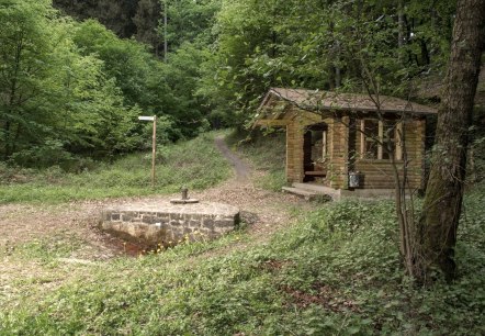 Dockweiler Drees, © Natur- und Geopark Vulkaneifel