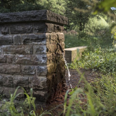 Josendrees, © Natur- und Geopark Vulkaneifel