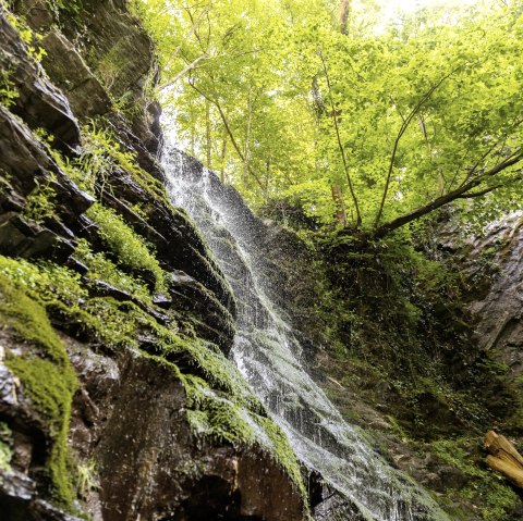 Der Klidinger Wasserfall, © Eifel Tourismus GmbH, AR - shapefruit AG