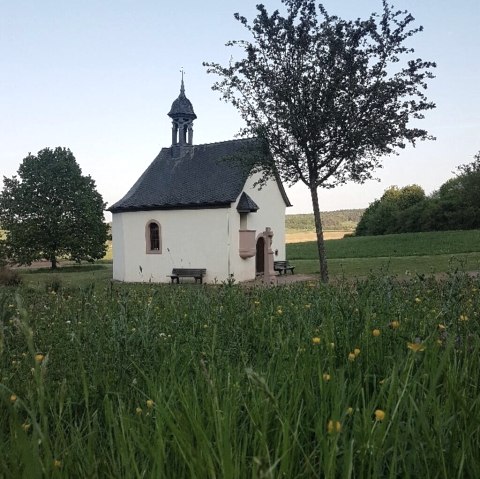 Fintenkapelle mit Blumenwiese, © Tourist-Information Wittlich Stadt & Land