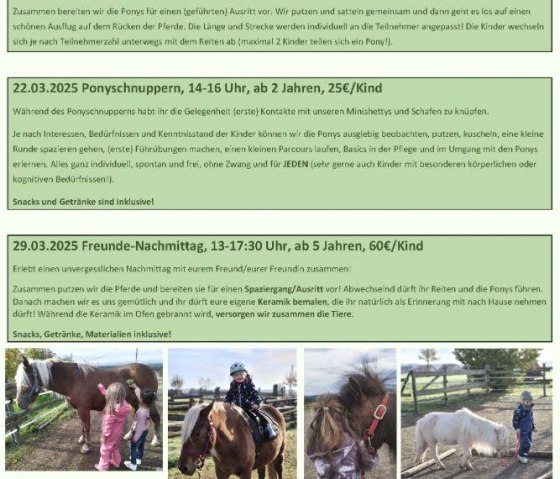 Ponyboerderij avontuur in maart 2025