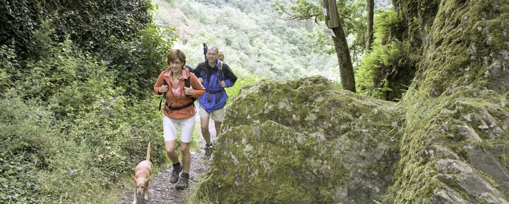 Wanderung mit Hund in der Eifel, © Rheinland-Pfalz Tourismus GmbH / D. Ketz