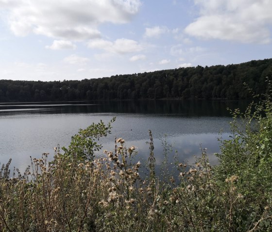 Een maar.... of een kratermeer?, © Foto & Quelle: Gesundland Vulkaneifel GmbH