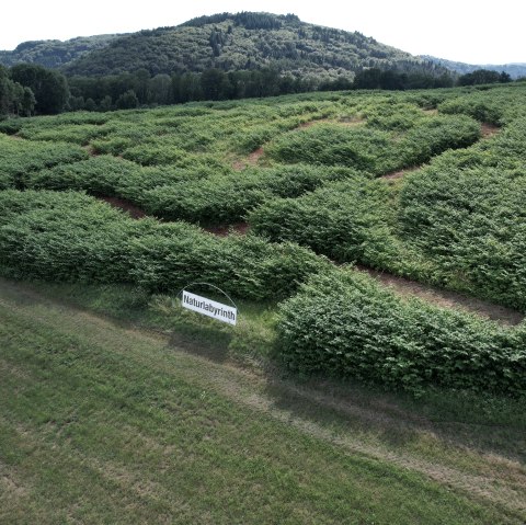 Naturlabyrinth von oben, © TI Bitburger Land