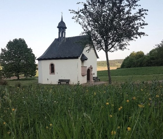 Fintenkapelle mit Blumenwiese, © Tourist-Information Wittlich Stadt & Land