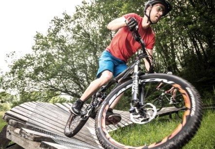 Mountainbike-Park in der Eifel, © Rheinland-Pfalz Tourismus Gmbh/D. Ketz